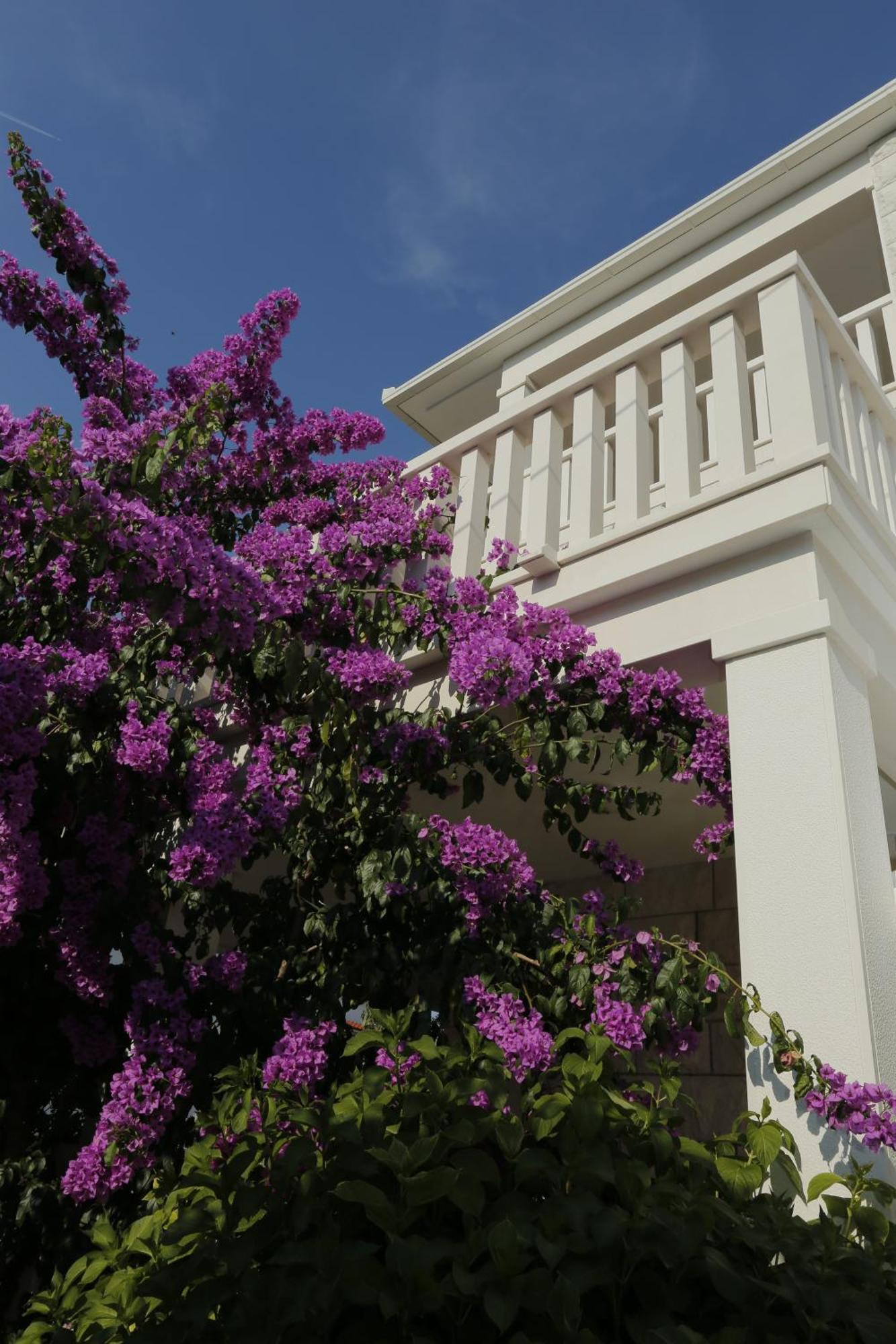 Apartments Marino Супетар Екстер'єр фото